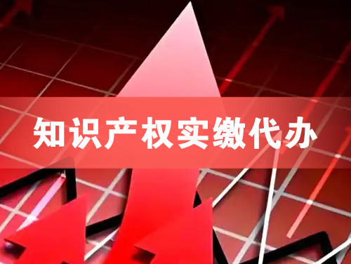大冶知识产权实缴资本代办